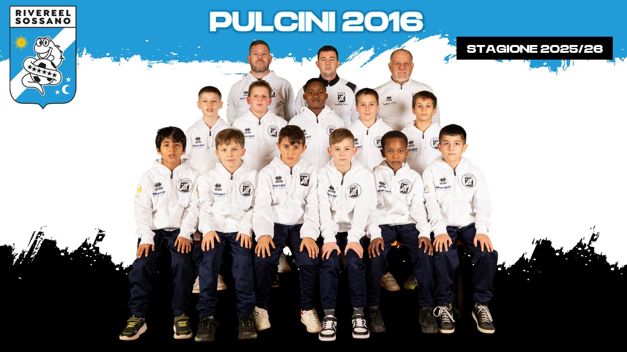Pulcini 2016